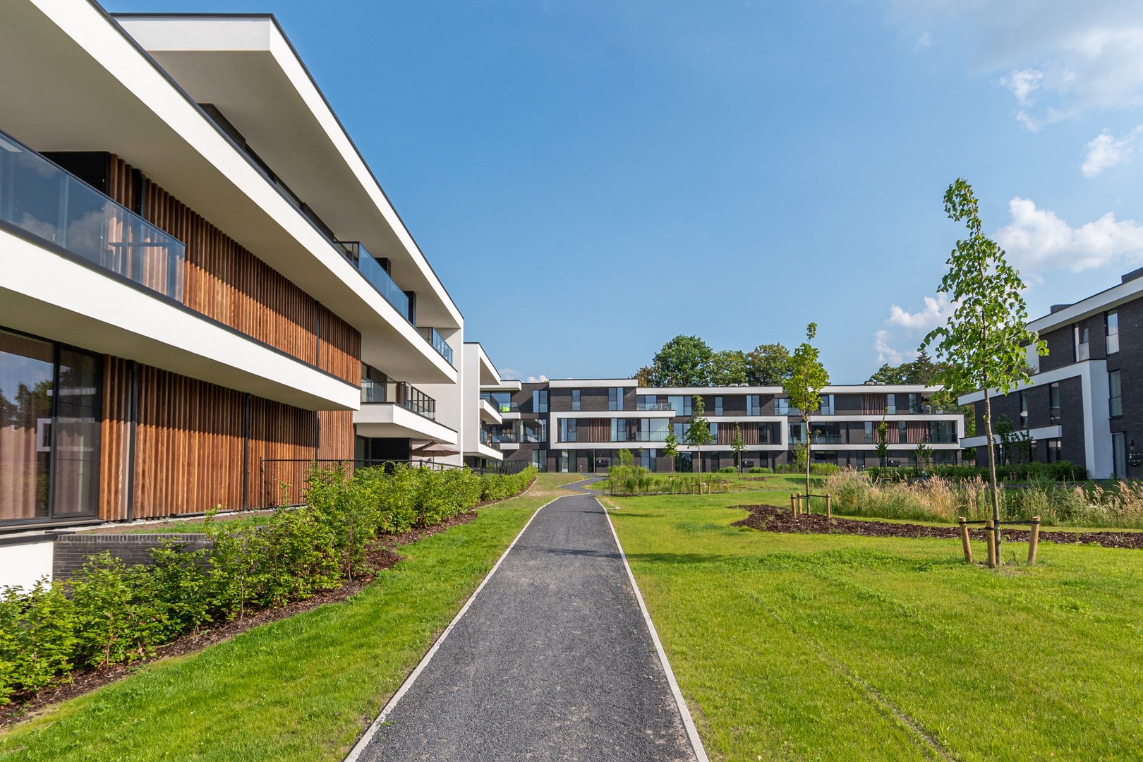 COMMERCIALISATIE PROJECTEN