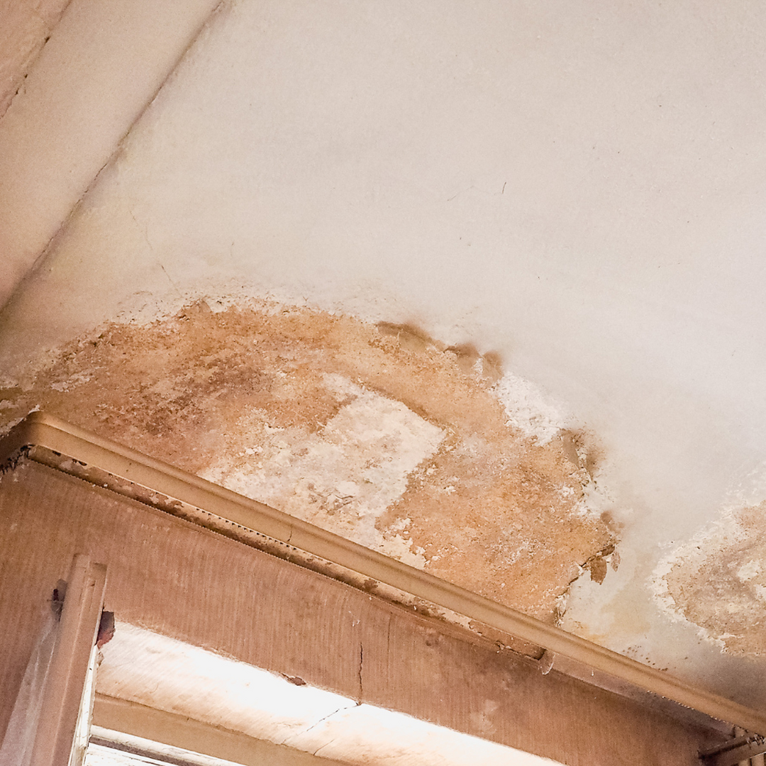 Profiteer NU of NOOIT: laatste kans op 6% BTW